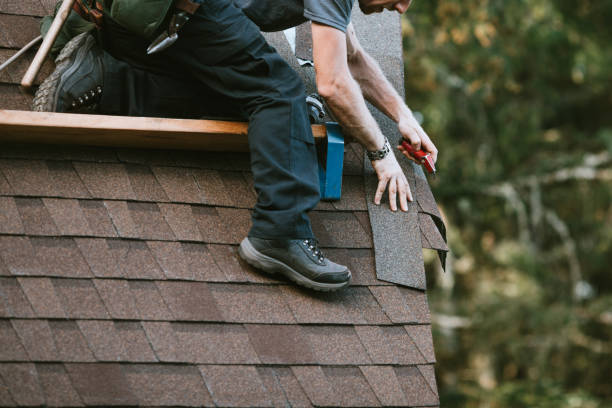 Best Residential Roof Replacement  in Bisbee, AZ