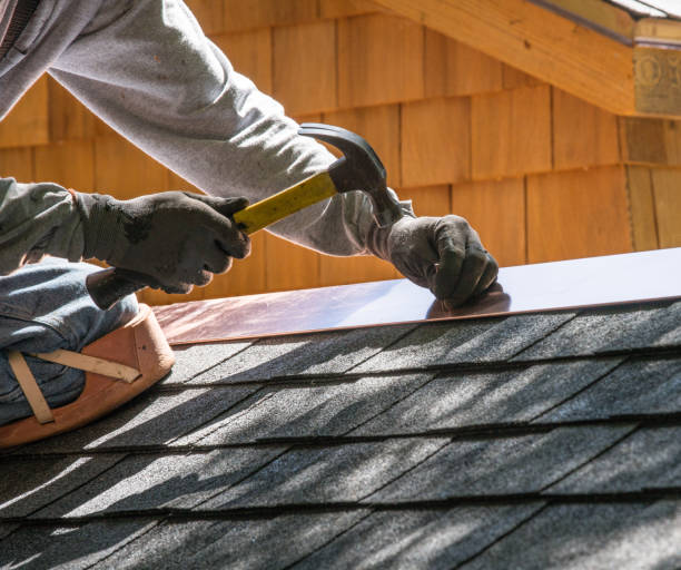 Best Metal Roofing Contractor  in Bisbee, AZ